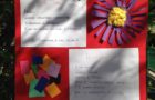 IMG-20170321-WA0012