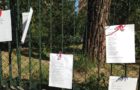 IMG-20170321-WA0019