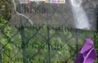 IMG-20180322-WA0003
