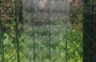 IMG-20180322-WA0007