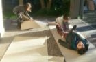 IMG-20190312-WA0009