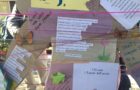 IMG-20190321-WA0025