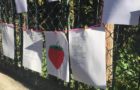 IMG-20190321-WA0048